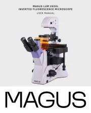 MAGUS