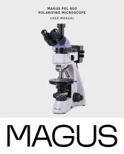 MAGUS