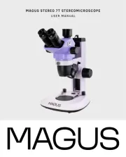 MAGUS
