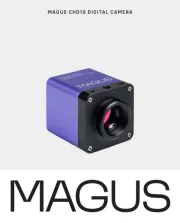 MAGUS