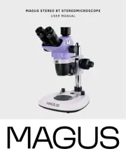 MAGUS